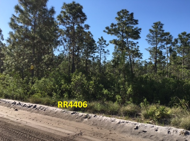 River Ranch Acres camp lot for sale RRPOA