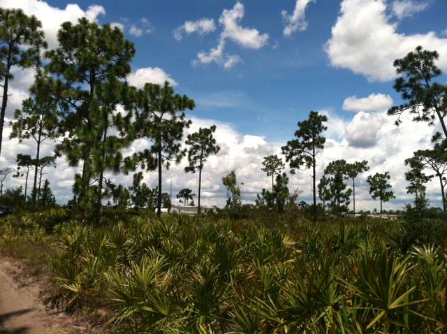 River Ranch Acres Camp Lot for sale