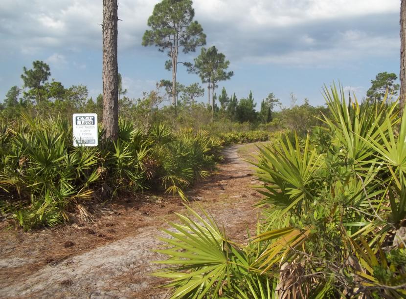 River Ranch RRPOA Polk County Florida