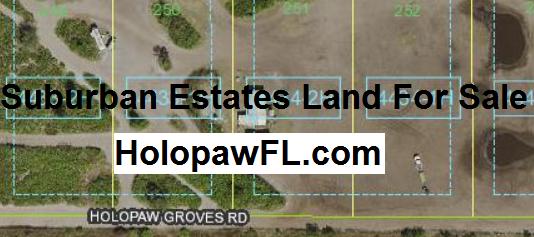 Suburban Estates Holopaw Florida HolopawFL land for sale