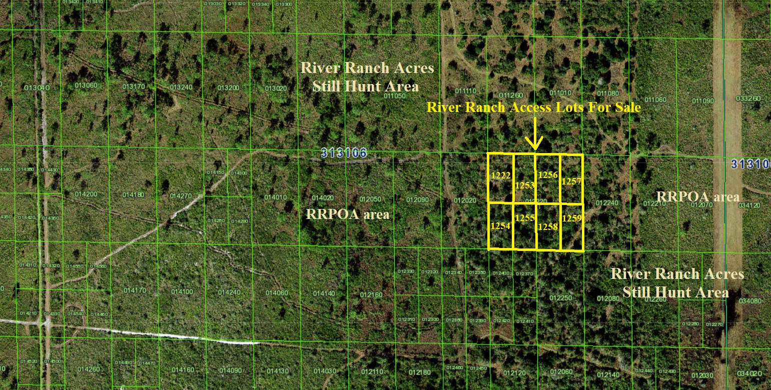 River Ranch Acres RRPOA Access Still Hunt Lot For Sale Florida Recreational Land