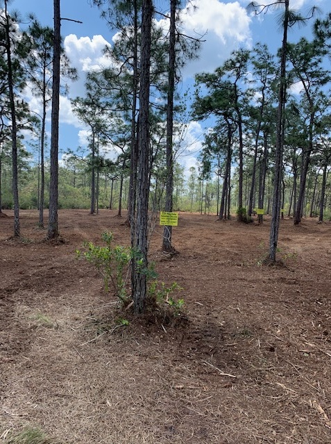 River Ranch Acres Camp lot for sale rrpoa 4x4 atv hunt