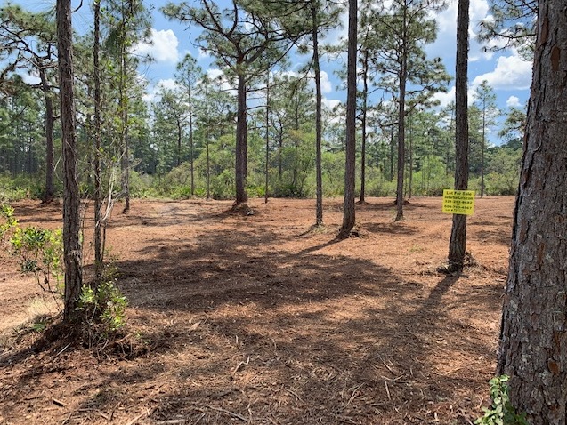River Ranch Acres RR RRPOA Camp lots for sale atv hunt 4x4