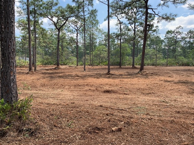 River Ranch Acres RR RRPOA Camp lots for sale atv hunt 4x4
