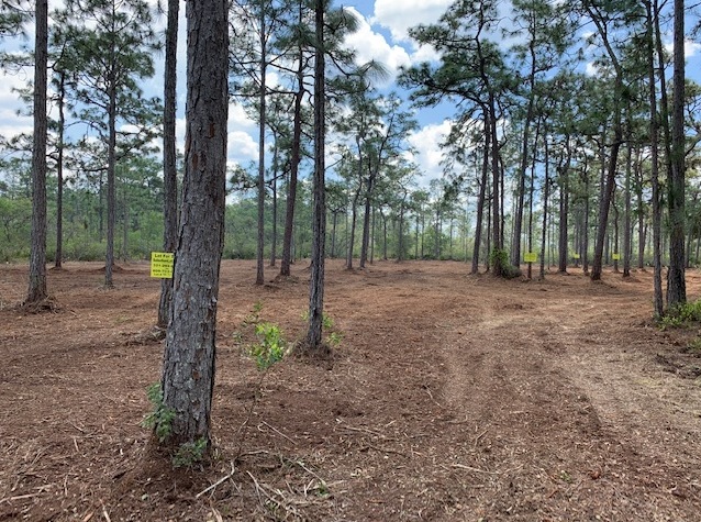 River Ranch Acres RR RRPOA Camp lots for sale atv hunt 4x4