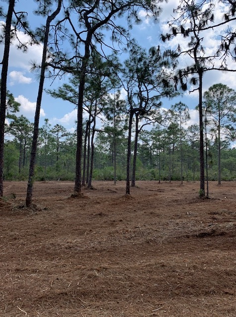 River Ranch Acres RRPOA Area camp hunt atv 4x4