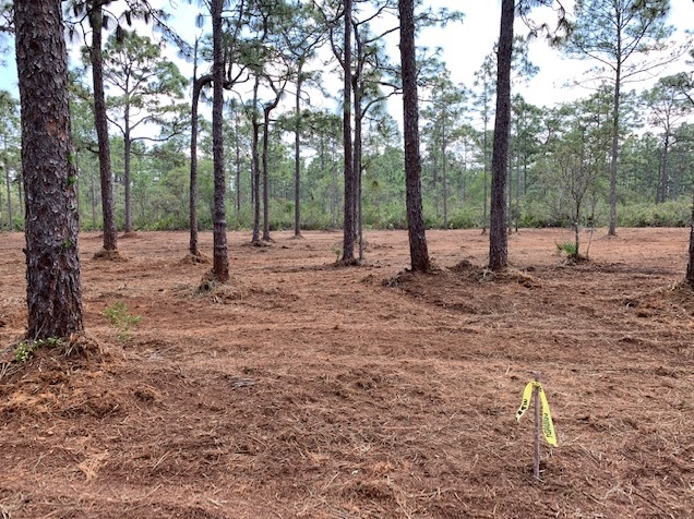 River Ranch Acres RRPOA Area camp hunt atv 4x4