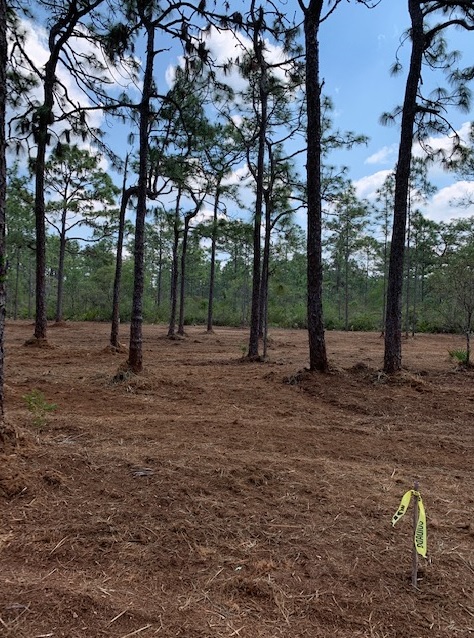 River Ranch Acres RRPOA Area camp hunt atv 4x4