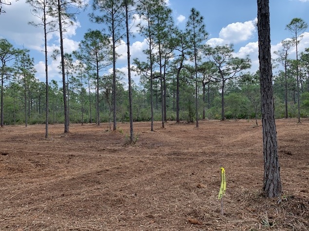 River Ranch Acres RR RRPOA Camp lots for sale atv hunt 4x4