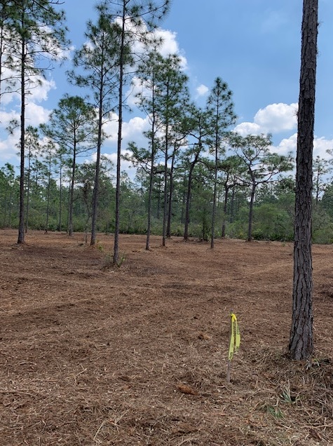 River Ranch Acres RR RRPOA Camp lots for sale atv hunt 4x4