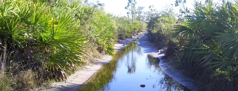 River Ranch Acres Florida Property