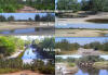 River Ranch Acres Florida Land for sale RiverRanchAcres.com